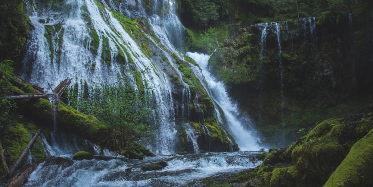 Columbia Gorge Trail Panther Creek Falls Friends of the